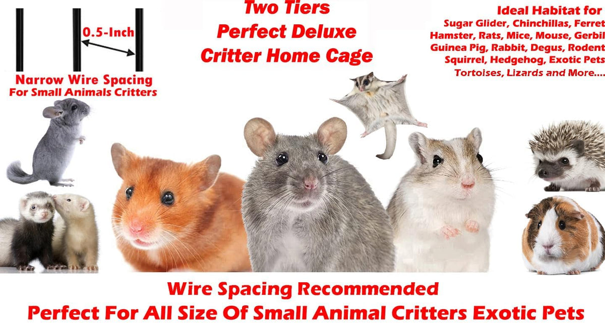 Deluxe Double Unit Two Full Story Small Animal Critter Home Rolling - Black Vein / 2 / 24"L x 17.5"W x 34"H - image 2