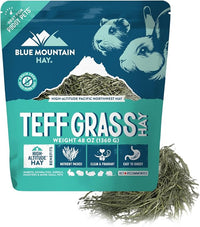 Blue Mountain Hay | Fresh Teff Grass Hay (48 Ounce) | Low NSC, High Fiber, Healthy Weight Management | High-Altitude Hay Pet Food for Rabbits, Guinea Pigs, Chinchillas, Hamsters, and Other Small Pets
