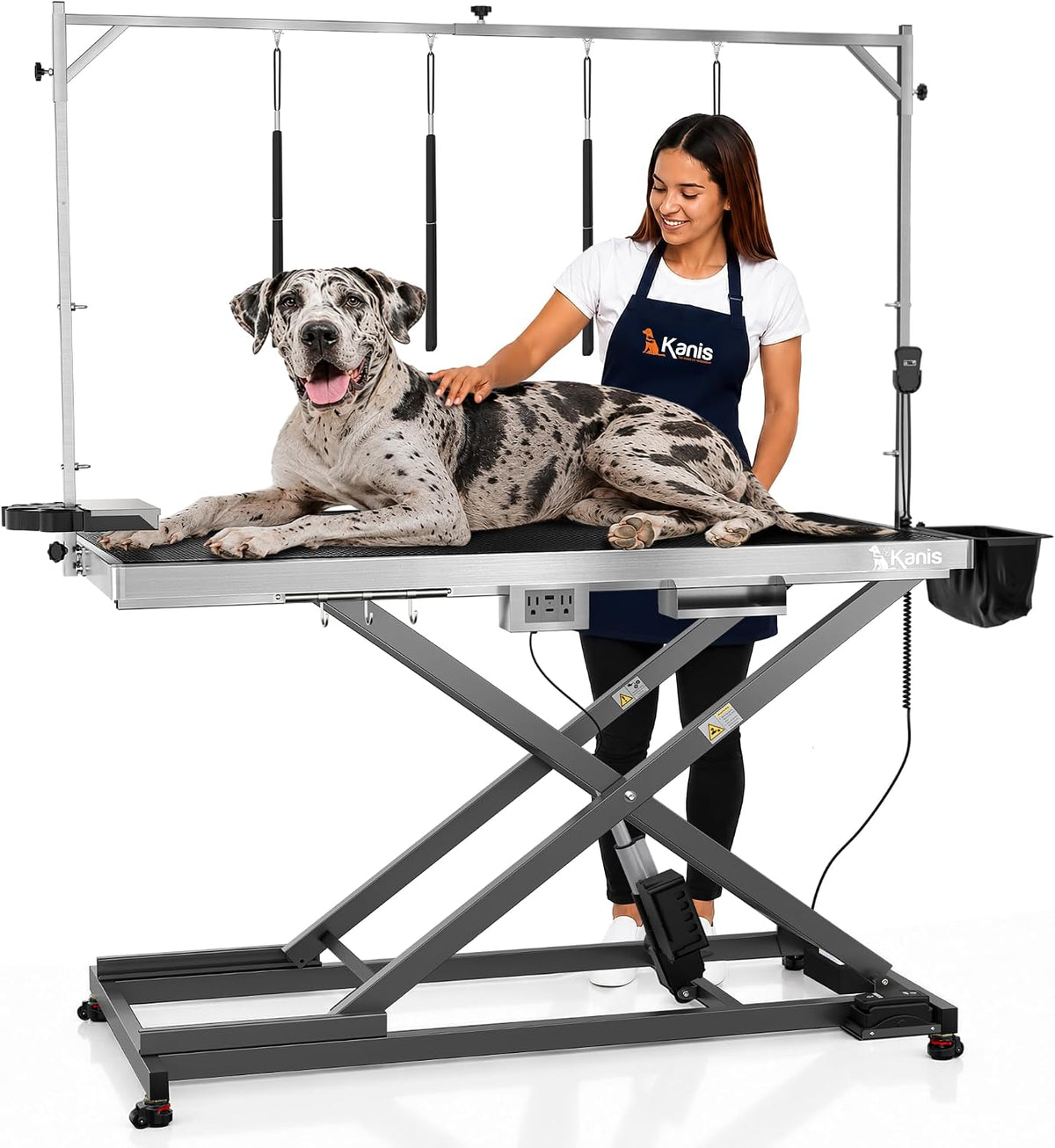 Professional Electric Dog Grooming Table, Heavy Duty - GREY / 60"