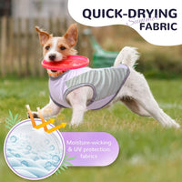 3 Pack Dog Cooling Vest with D-Ring Dog Tshirt Sun Protection Small - 1Pack Purple / Xx-large - image 4