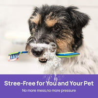 HICC PET Dog Dental Care Spray, Vet-Recommended Dog Breath Freshener, Soothing Bad Breath Caused by Plaque and Red Gums for Dogs & Cats, Dog Gingivitis Treatment and Prevent Oral Infections, 5.1 Fl Oz