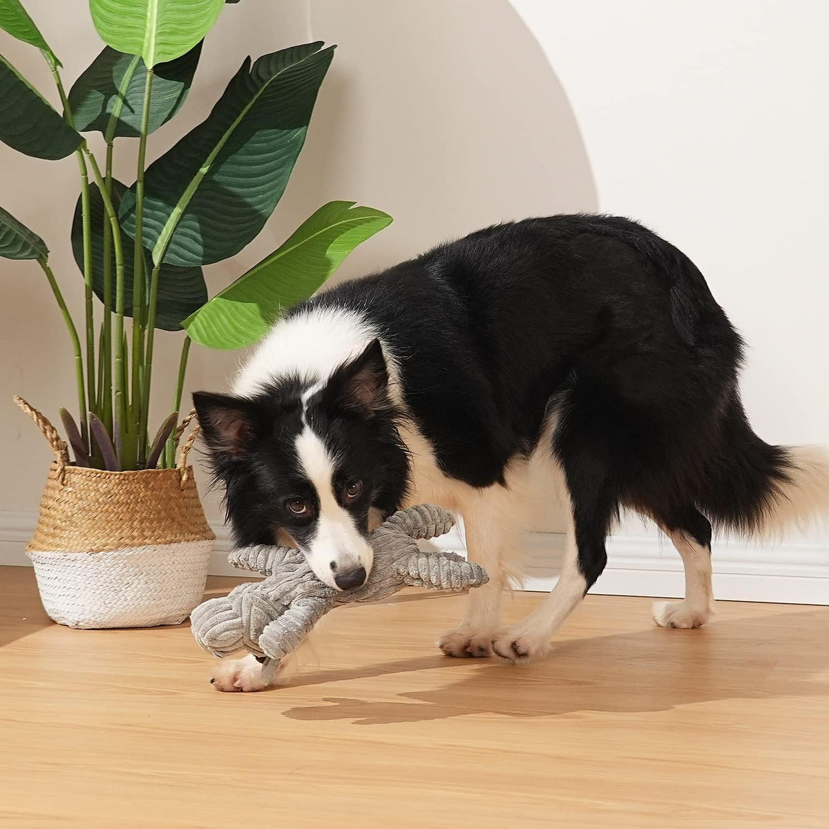 Dog Toy, Large Dog Squeaky Toys - Unstuffed Donkey - image 4