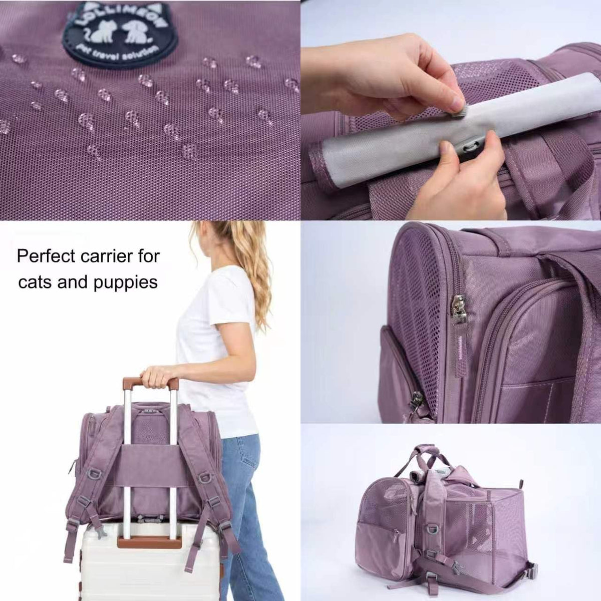 Expandable Large Cat Carrier Backpack, Supports up to – Essentials for Dogs - 16.5"L x 9.0"W x 13.4"H / Plum - image 4