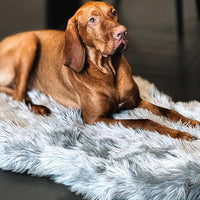 IHAPPYDOG Luxury Faux Fur Orthopedic Dog Bed, Memory Foam Dog Bed for Small, Medium, Large and XL Pets, Fluffy Pet Bed with Waterproof and Washable Cover (Grey, 40"x25")