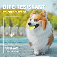 All for Paws Interactive Hyper Fetch Super Bounce Tennis Balls Dog Toy - Ball*6(2 inch) - image 3