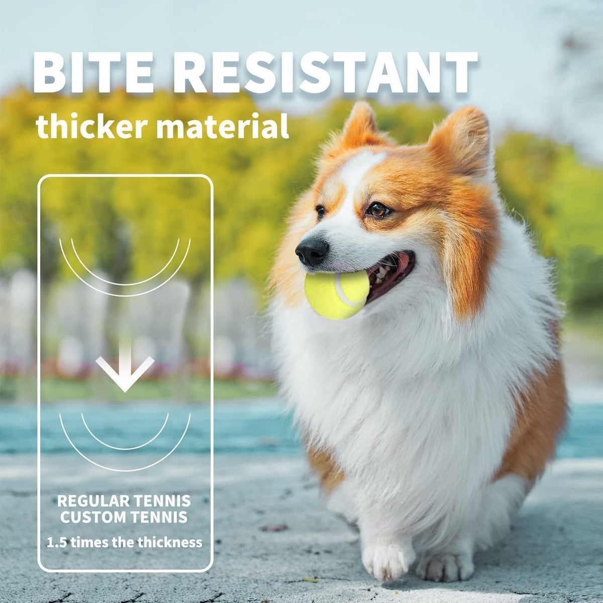 All for Paws Interactive Hyper Fetch Super Bounce Tennis Balls Dog Toy - Ball*6(2 inch) - image 3