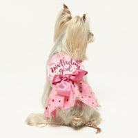 Fitwarm Birthday Girl Dog Tulle Dress - Small / Birthday Girl - image 4