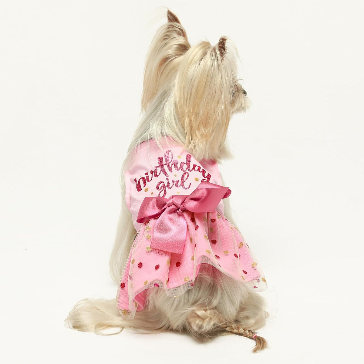 Fitwarm Birthday Girl Dog Tulle Dress - Small / Birthday Girl - image 4