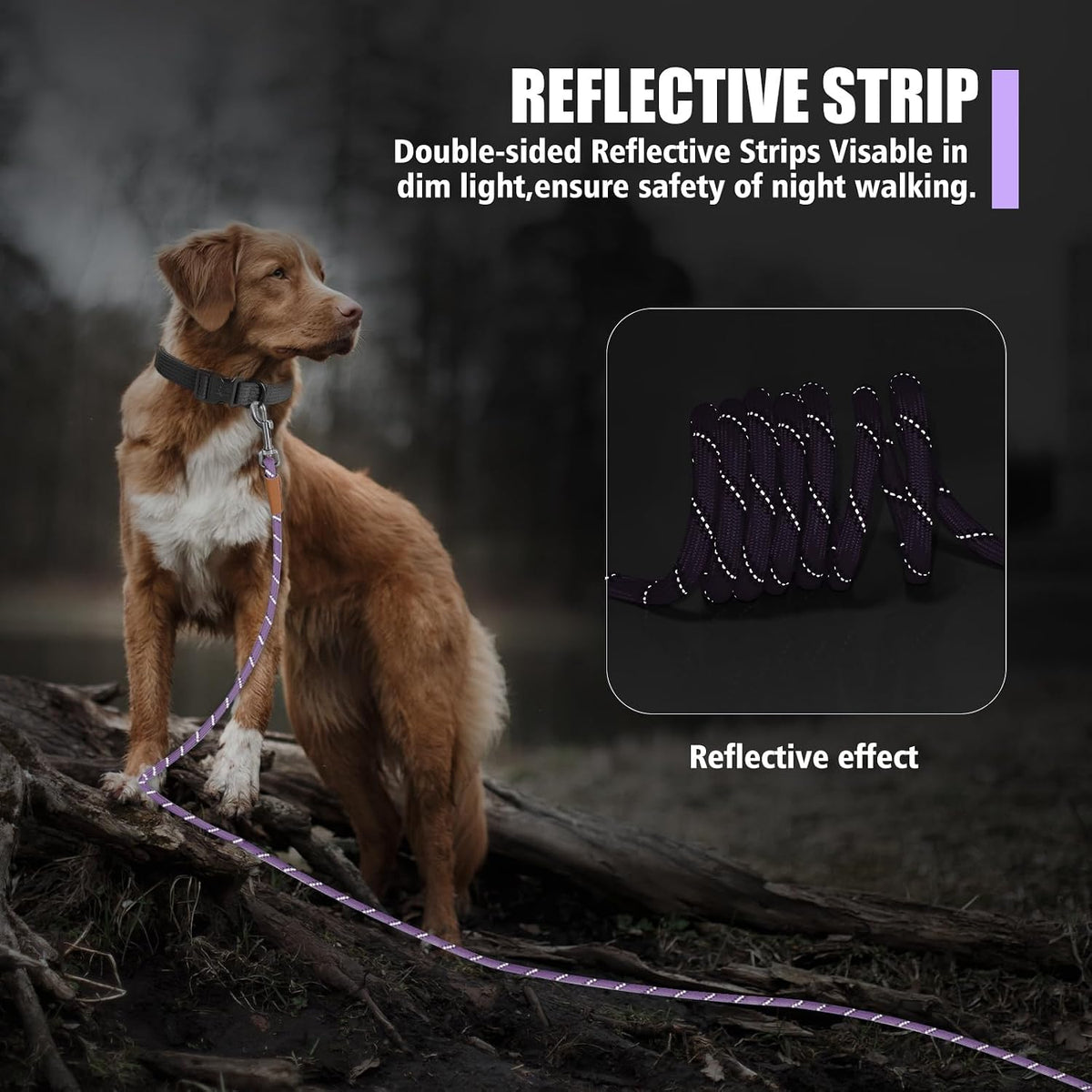 Long Dog Leash Reflective Rope Training Lead 15ft 30ft 50ft Check Cord – Essentials for Dogs - Light Purple / 30ft x 3/8inch - image 3