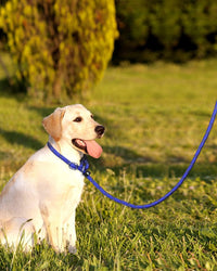 Slip Lead for Dogs, No Pull Training Leash, Padded Handle – Essentials for Dogs - L-1/2"x6'(110-250lbs) / Navy Blue - image 4