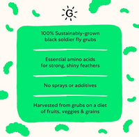 Grubblies - Switch from World Harvest to Hometown Harvest for Premium Chicken Nutrition - Grubblies World Harvest 5LB