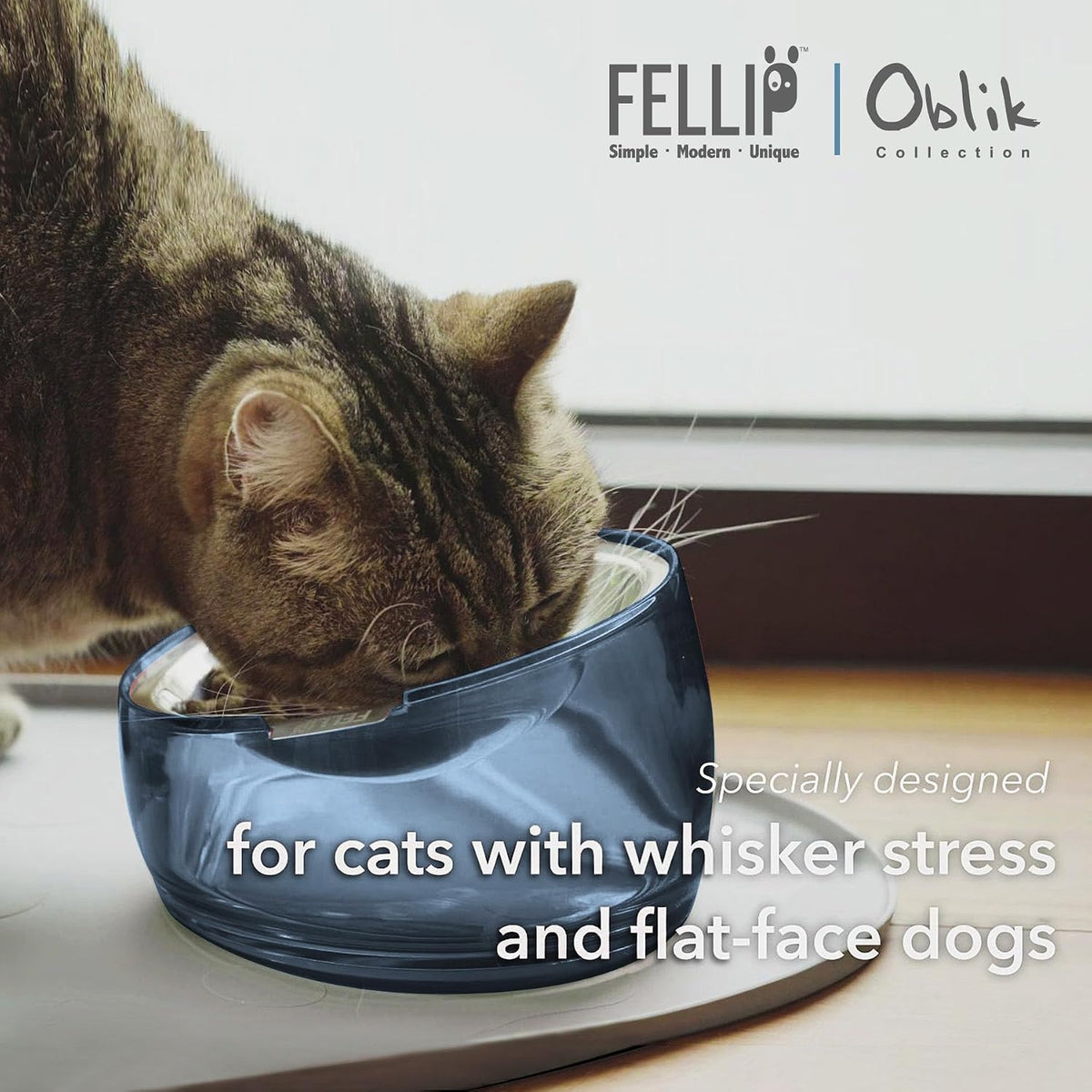 Felli Pet Oblik Acrylic Raised Dog Food Water Bowl Stainless Steel - Shadow / 0.5 Cups Shallow Dish - image 3
