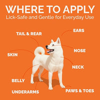 Hot Spot & Itch Relief Skin Cream for Dogs & Cats | Fast & Lasting Relief | Treats the Source | Natural Ingredients & Colloidal Silver | Vet-Recommended | Safe & Non-Toxic | Made in USA (2oz)