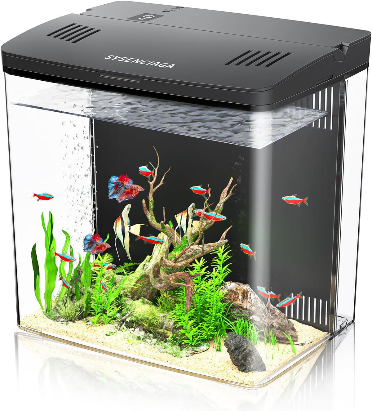 1 Gallon Acrylic Fish Tank Kit for Kids with Filter and 5-Mode Light – Essentials for Fish