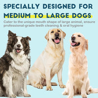 Dog Toothbrush Kit 4 Pack, 10,000 Ultra-Soft Bristles, Dog Tooth Brush for Medium to Large Dogs & Cats, Pet Tooth Brushing Kit for Easy Dental Cleaning, 2 Green Wave Head & 2 White Flat Head