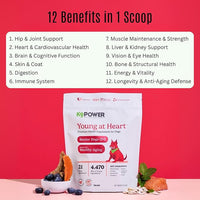 K9 Power Young at Heart Senior Dog Multivitamin 1 lb – Advanced Supplement for Seniors – Supports Brain, Heart, Vision, Joint Health, and Mobility