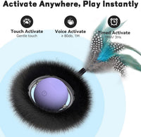 Interactive Cat Toy for Indoor Cats - No Cat No Life - image 4