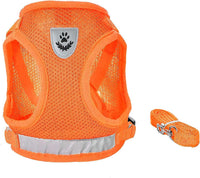 FEimaX Dog Harness and Leash Set for Walking - Orange / Large - image 2