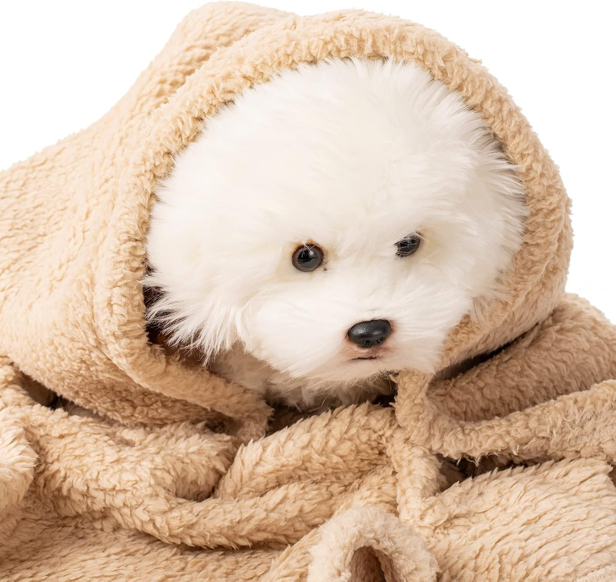 2 Blankets, Dog Cat Pet Blanket, Soft Warm Fleece, for Puppy - Beige+lightgray / 60"L x 40"W, 2/Pack - image 3