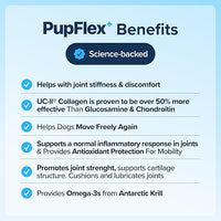 PupFlex+ Hip and Joint Supplement Dogs, Vet Created Soft Chews with UC-II® Collagen for Dogs, CurcuVET® & Omega 3, Proven More Effective Than Glucosamine Chondroitin, Dog Joint Supplement (60 ct)