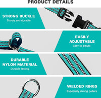 Martingale Collar for Dogs, Reflective Escape Proof, M - Turquoise / Medium - image 3