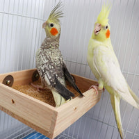 Bird Feeding Cups, Natural Wooden Parrot Perch Stand - 7.9 × 5.9 Inch - image 2