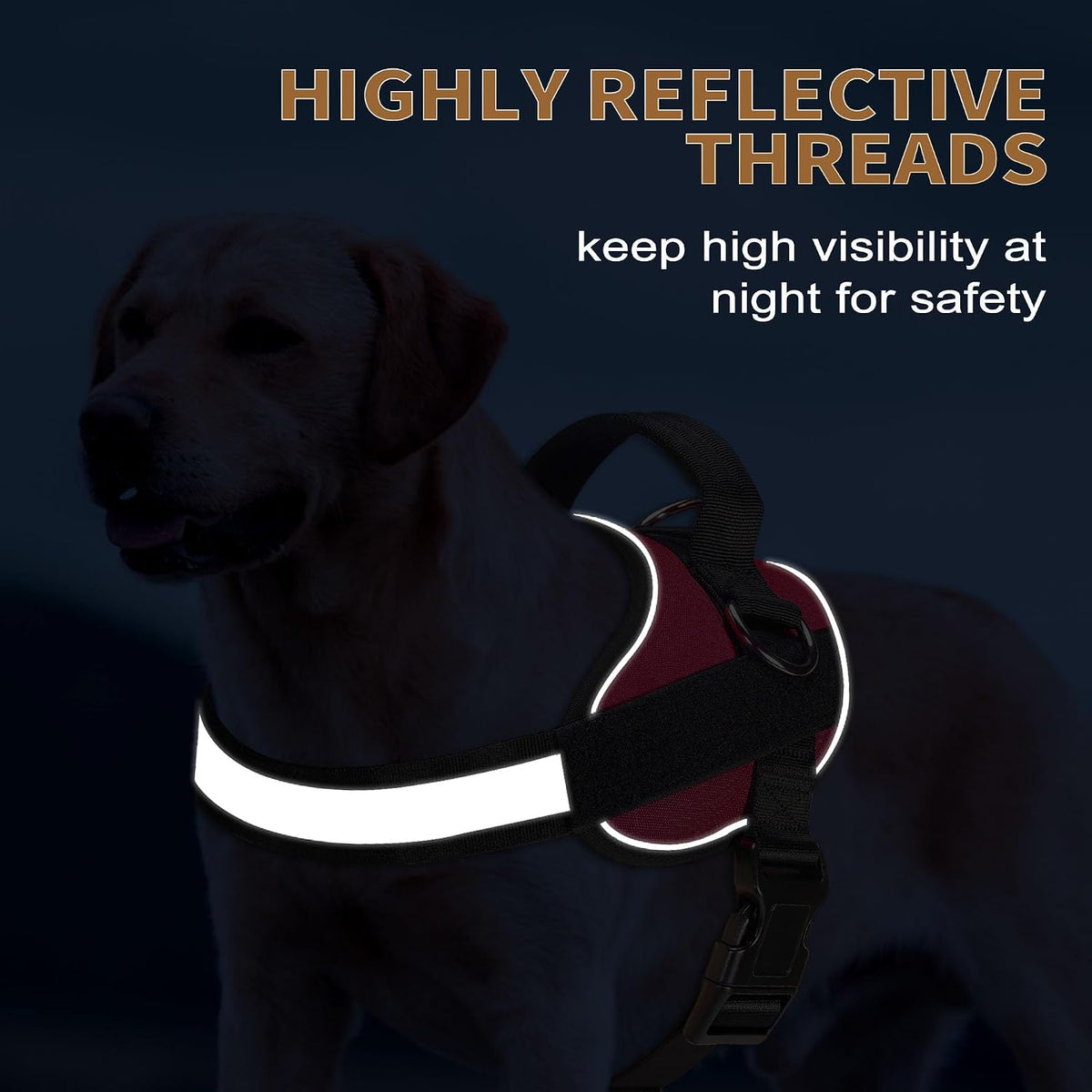 Haapaw Essential Dog Harness - XL / Red - image 4