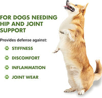 by Cool PET Holistics LVDJW-PR-04PK-16U Hip & Joint Dog Joint Supplement, 16 oz