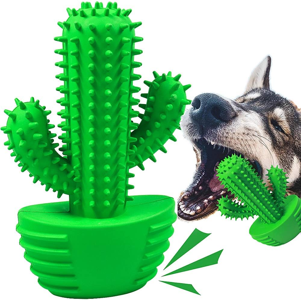 Cactus Dog Chew Toy for Aggressive Chewers - For Medium Dog / Green