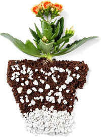 Perlite Bliss (24 Qts) - Organic Perlite for Plants - Coarse Perlite Bulk Soil Amendment - Chunky Perlite for Plants, Potting Soil, Garden Soil, & Coco Coir - Horticultural Perlite for Gardening