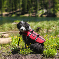 ZippyPaws Adventure Dog Life Jacket - Extra Large - image 2