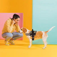 Dogline Dog Harness, Reflective No-Pull Adjustable Vest with Handle for Walking, Training, Breathable, No - Choke Harness for Small, Medium or Large Dogs Room for Patches Leopard Brown L 27"-34"