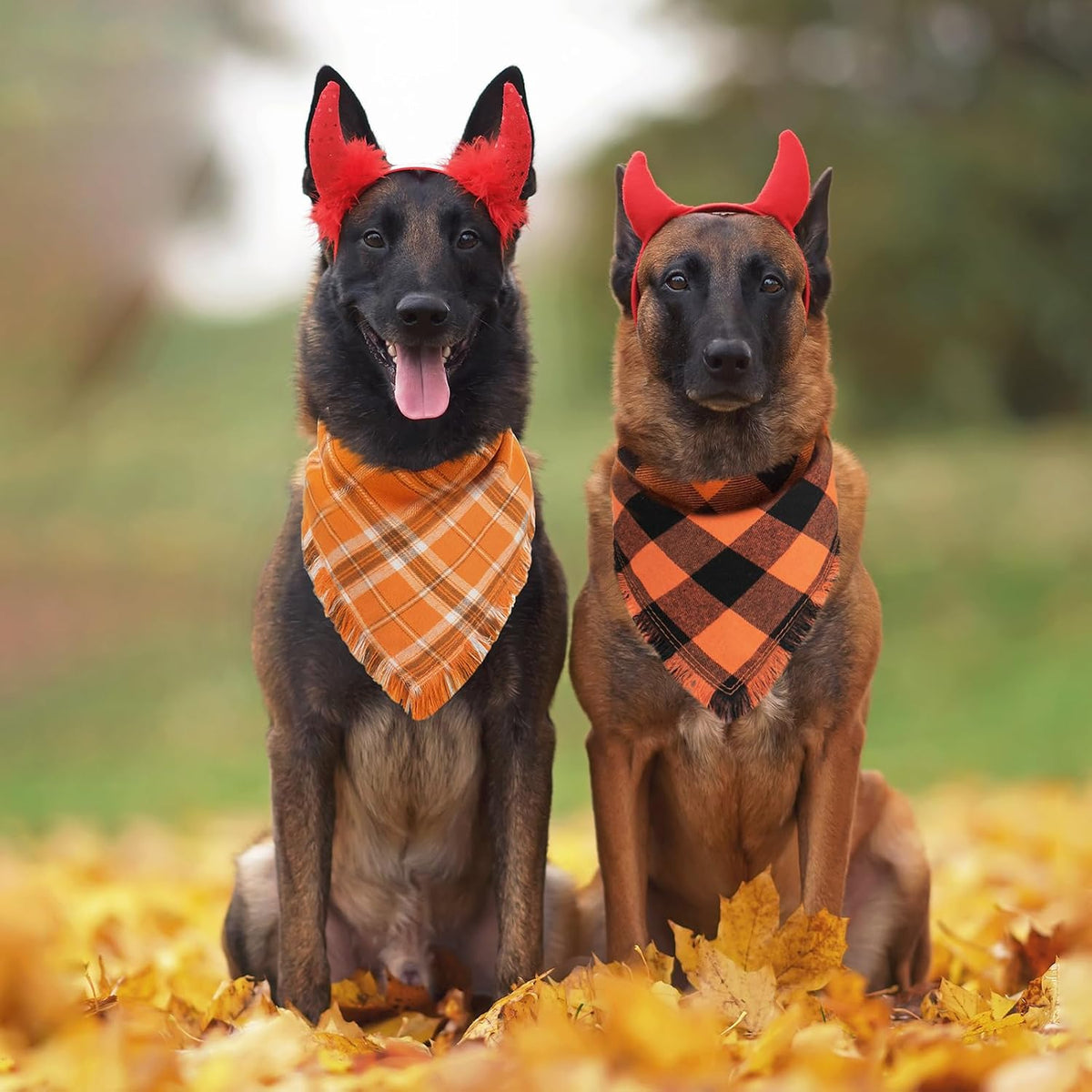 Kytely Dog Bandanas Fall Thankgiving XLarge 2Pack - Fall Bandana / X-Large - image 3
