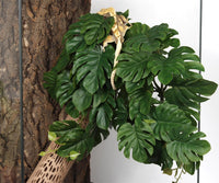 2Pack Reptile Plants for Terrarium - A-fake Monstera - image 4