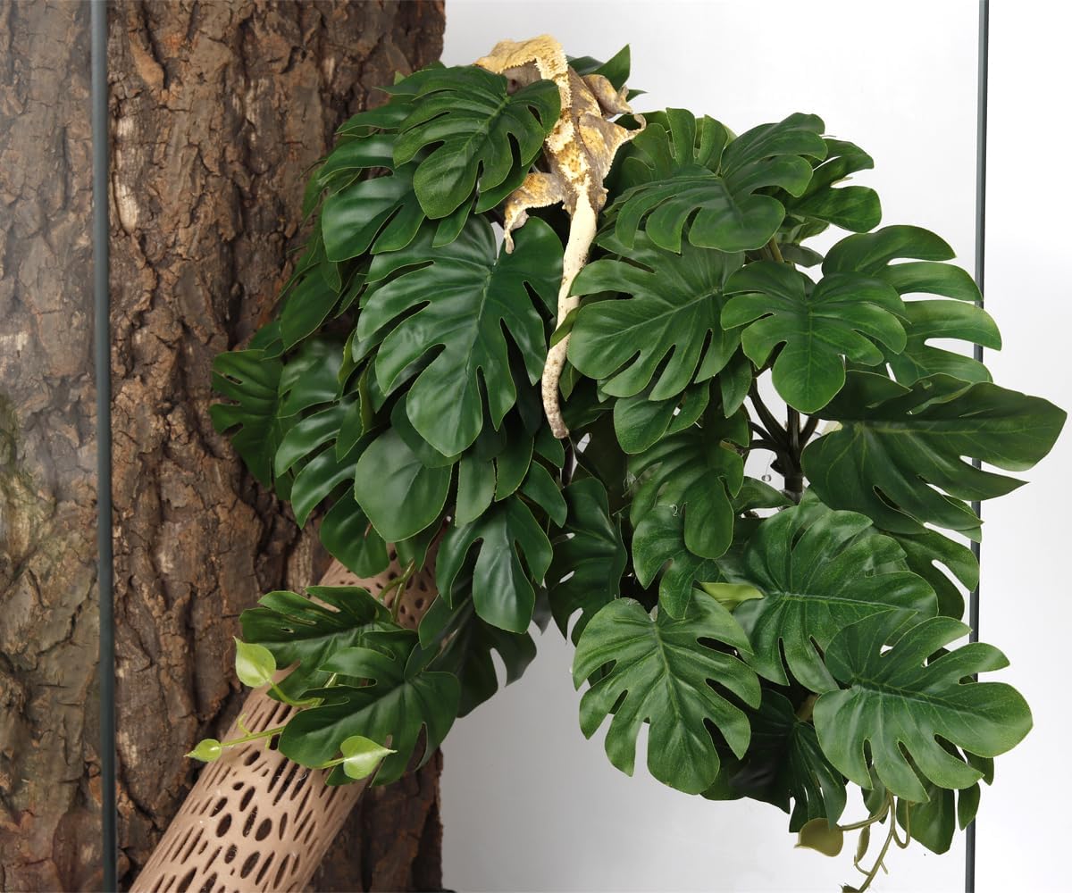 2Pack Reptile Plants for Terrarium - A-fake Monstera - image 4