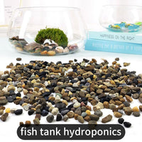 5LB Coarse Sand, Colored Rocks Pebbles - 40LB / 4-8MM - image 2