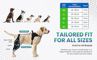 Comfortable Dog Knee Brace for Both Hind Legs with Harness - for ACL Tear, Luxating Patellae, Osteoarthritis & Instability - for Recovery & Injury Prevention in Active/Aging Dogs - (XLarge)