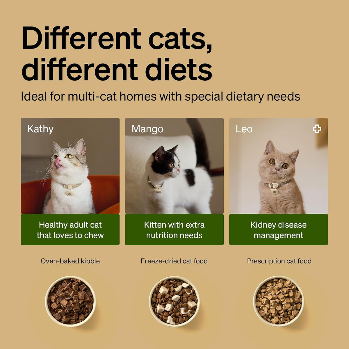 PETLIBRO RFID Automatic Cat Feeder - Black / 3L (Pack of 1) - image 3