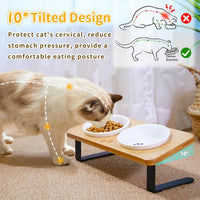 Ceramic Elevated Cat Bowls with 10° Tilted - 5" Bowls x2 - image 2