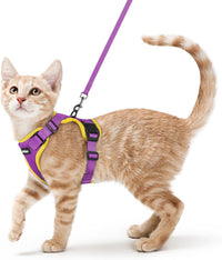 rabbitgoo Cat Harness and Leash Set, Escape Proof Vest - S / Purple & Yellow
