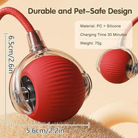 Interactive Cat Toys Ball, Newly Upgraded Automatic with Elastic Tail Rope and USB Charging. Stimulates Hunting Instincts and Promotes Exercise. Interactive Cat Toys for Bored Indoor Adult Cats