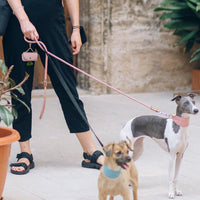 Leather Poop Bag Holder Dispenser for Leash - Pink - image 2