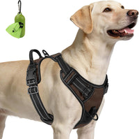 Joytale No Pull Dog Harness Medium Sized Dog, Front Clip - Large / Brown