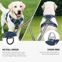 Timos Dog Harness, No Pull Large Sized with 3 Buckles - Medium / Lock Royal Blue - image 2