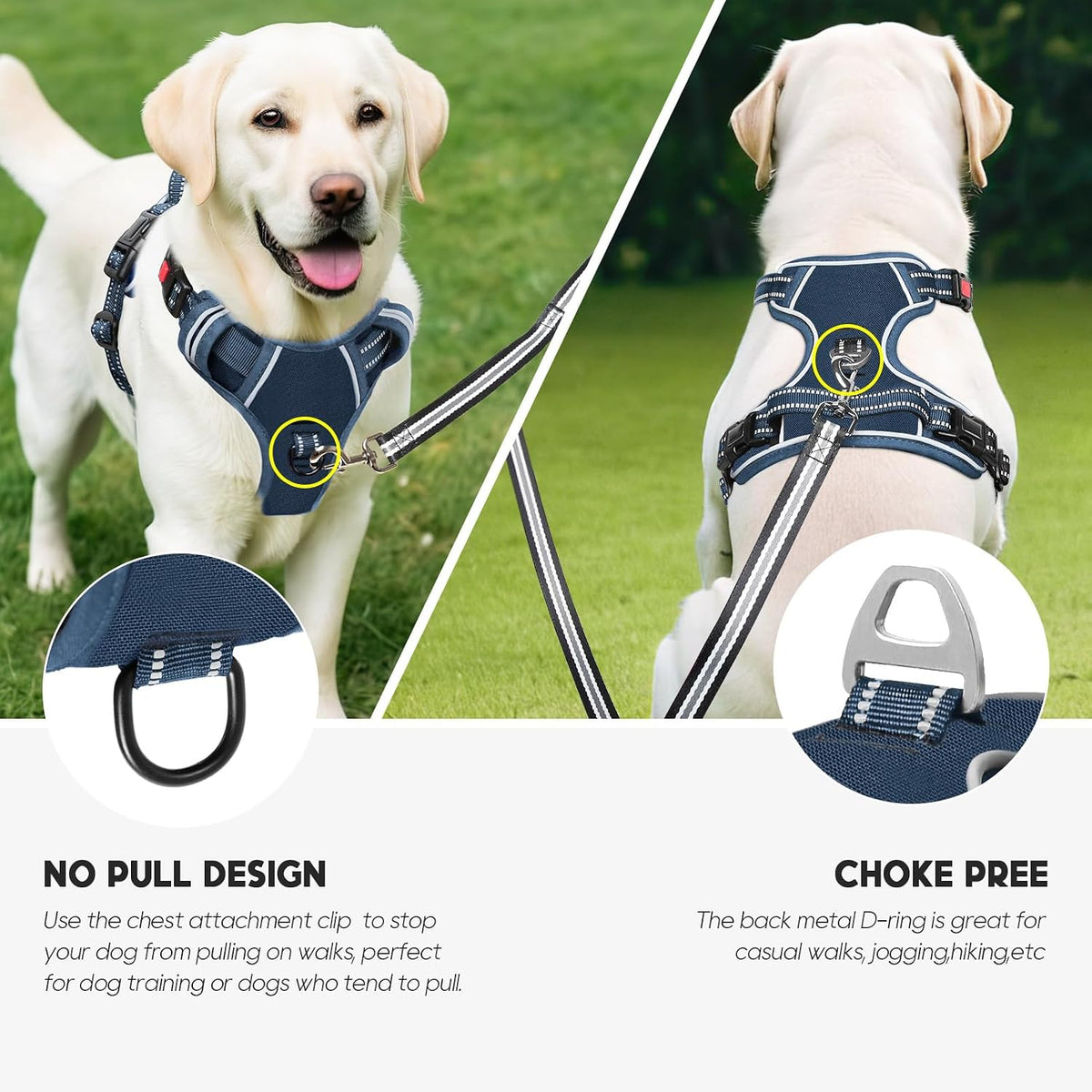 Timos Dog Harness, No Pull Large Sized with 3 Buckles - Medium / Lock Royal Blue - image 2