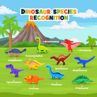 IPOURUP Dinosaur Toys for Kids 3-5: Wooden Stacking Montessori Toys - Dinosaur Blocks - image 3