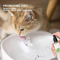 Kitty Joy Herbal Cat Joy, Herbal Cat Joy Spray, Celery Pets Catnip Spray, Catnip Spray for Indoor Cats, Cat Calming Spray, Anti Scratch Cat Spray, Cat Training Spray with Catnip, Cat Nip Spray (1PC)