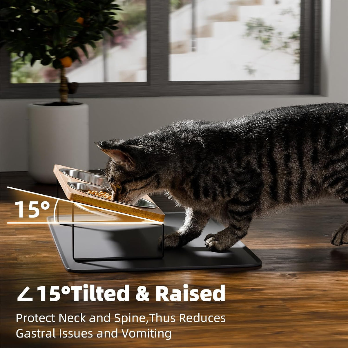 Elevated Whisker Friendly Cat Bowls - Stainless Steel-2Bowls - image 4