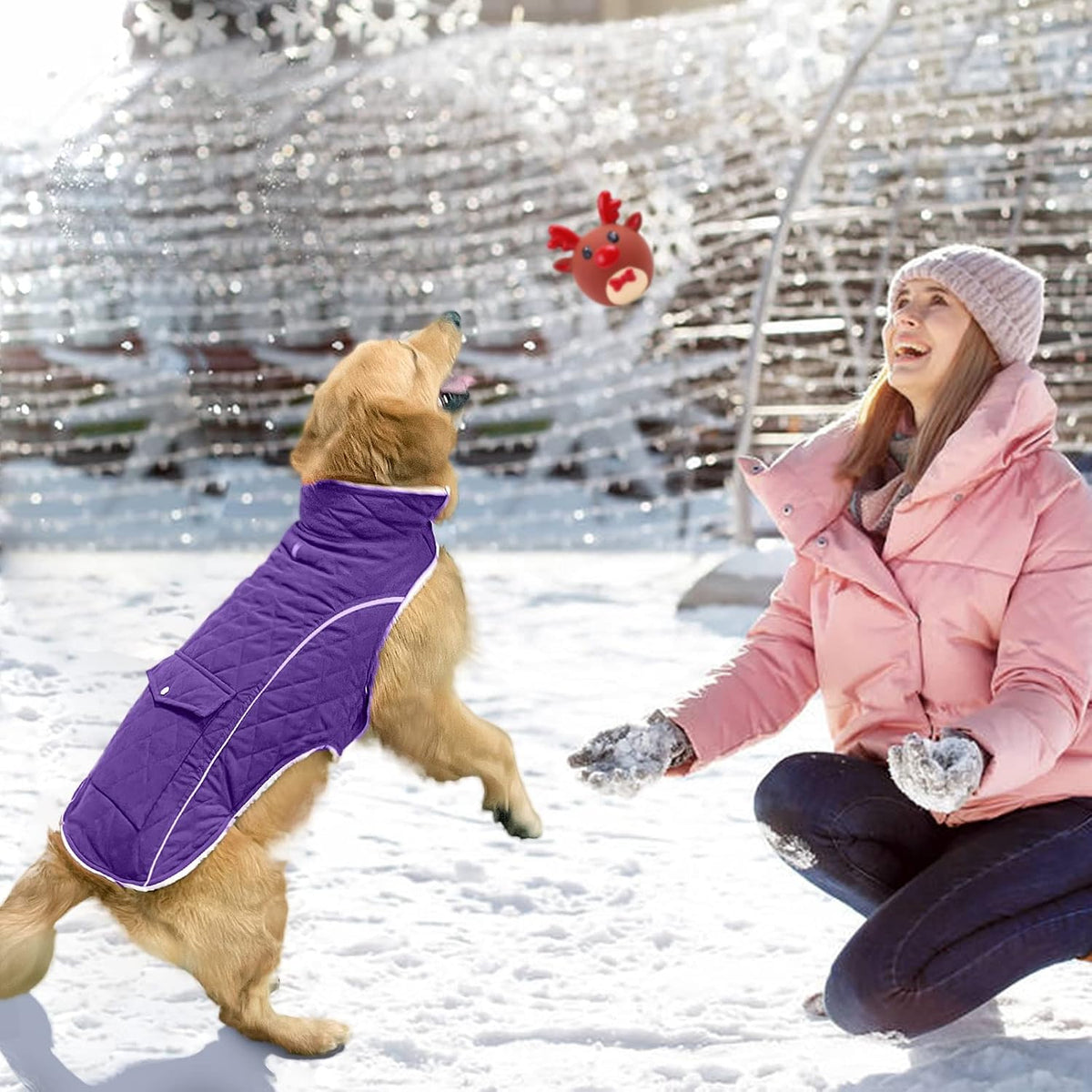 Malier Dog Coat Warm Dog Winter Coat - Purple / Small - image 4