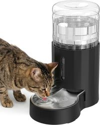 JUNSPOW Cat Water Dispenser and Stainless Steel Bowl – Essentials for Cats - Black / 4L Base